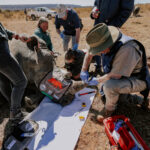 WITS RHISOTOPE PROJECT GOES LIVE